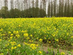 -艾溪湖湿地公园