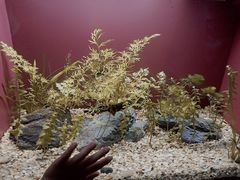 -上海海洋水族馆