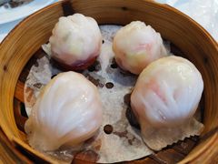 西苑虾饺皇-西苑半岛·中餐厅