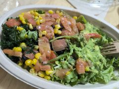 -油梨树AVOCADO TREE(望京店)