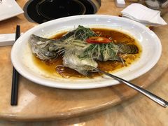 -肥仔顺德菜(龙悦居店)