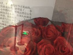 -深圳独角兽星空艺术馆