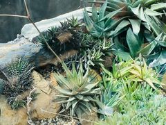 -国家植物园南园