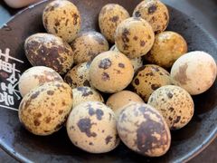 -僖和轩(赤尾店)