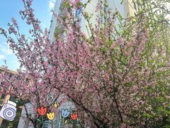 -浦江城市生活广场(江月路店)