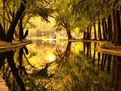 -上海共青森林公园