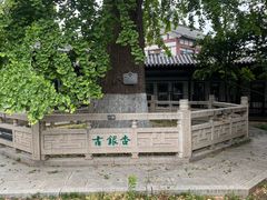 -常熟方塔园