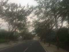 -金鸡岭桥头公园