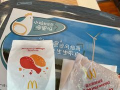-麦当劳(鄂尔多斯机场店)