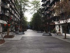 -奎星楼街