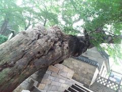 -青岛崂山太清宫
