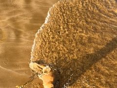 -青岛石老人海水浴场