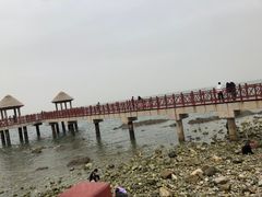 -养马岛旅游度假区