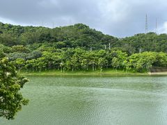 -凤岗南门山森林公园