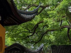 -西园戒幢律寺
