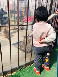 -萌宠亲子动物乐园(槐房万达店)