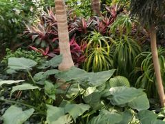 -北京植物园-展览温室