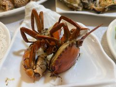 -莲花公园煎蟹(总店)