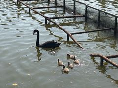 -珠海圆明新园