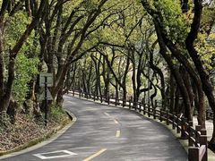 -普陀山风景区-佛顶山
