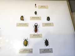 -中国湿地博物馆