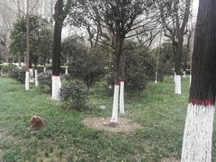 -莲湖公园