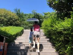 -石老人观光园
