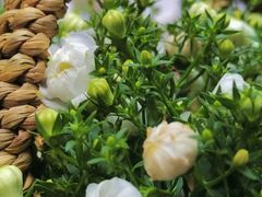 -循礼门鲜花花市(武汉循礼门店)