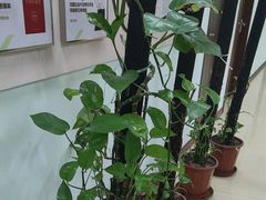 -慈铭体检(世纪城分院)