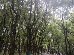 -东湖落雁景区