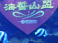 -青岛海底世界-水族馆