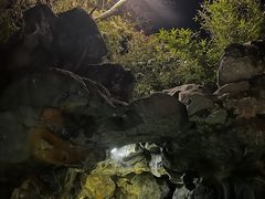 -苏州湾·王焰温泉