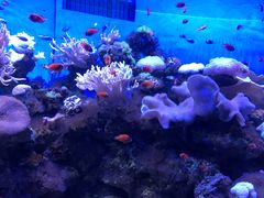 -多彩贵州城极地海洋世界