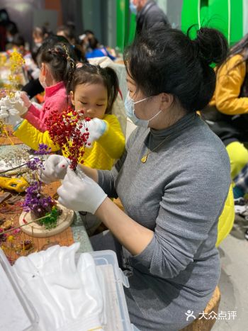 虫逢展做了一个全场惊艳的蝴蝶花开