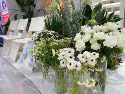 点击看大图 -V Charm芮槿肌肤管理