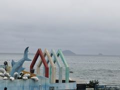 -海合安青岛极地海洋公园