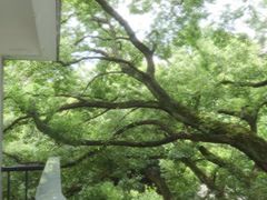 -湖北美术学院(昙华林校区)