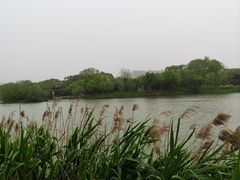 -八大山人梅湖景区