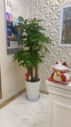 -Cocodemer产后恢复(杭大店)
