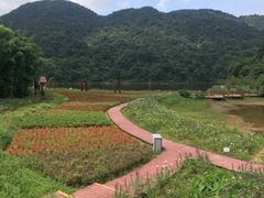 -广州市石门国家森林公园