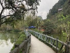 -靖西鹅泉风景区