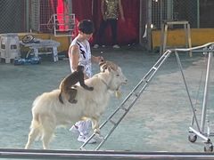 -泉州海丝野生动物世界