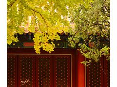 -故宫博物院(故宫)
