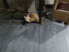 -江南红鱼汤(洋中花园店)