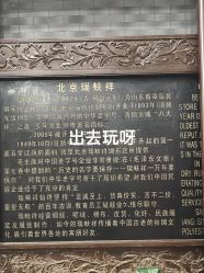 -瑞蚨祥(大栅栏店)