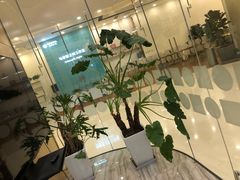 -固瑞齿科(国贸门诊店)