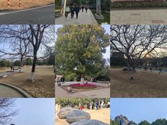 -南京市江宁方山