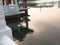 -荔枝公园(福田区)