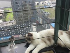 -零纪元VR体验馆·桌游(黄浦店)