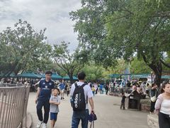 -盈香心动乐园